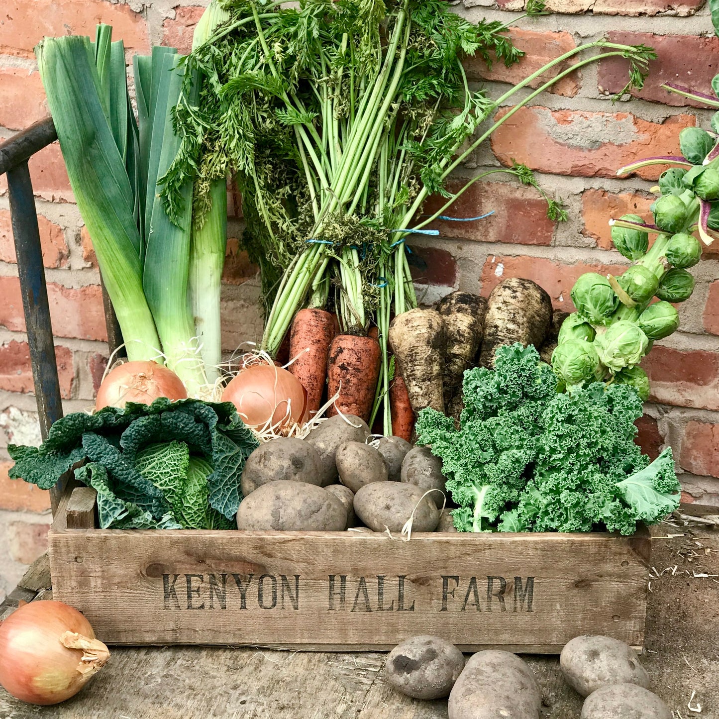 Festive Veg Box (large)