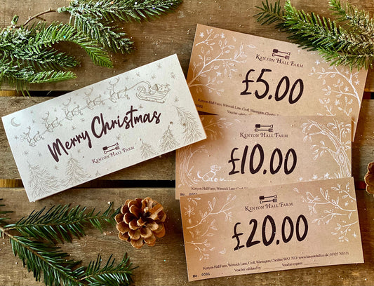 Christmas Gift Vouchers