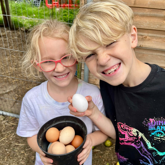 Junior Farmers: Chickens and Eggs