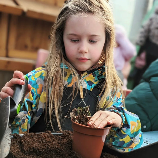 Junior Farmers: Growing Strawberries