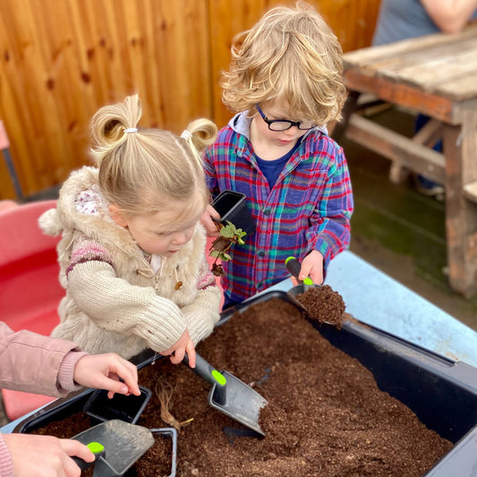 Junior Farmers: Growing Strawberries